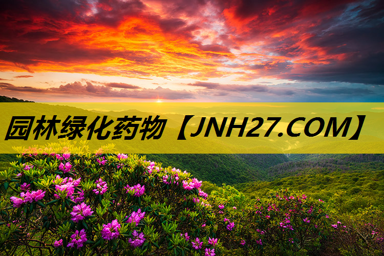 园林绿化药物