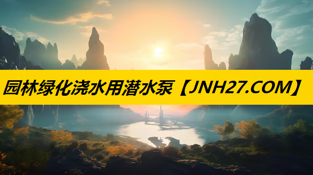 园林绿化浇水用潜水泵