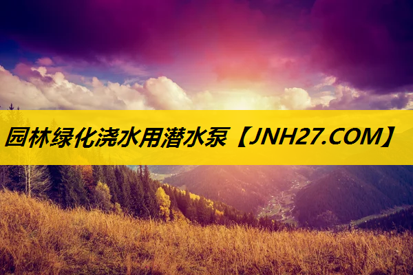 园林绿化浇水用潜水泵