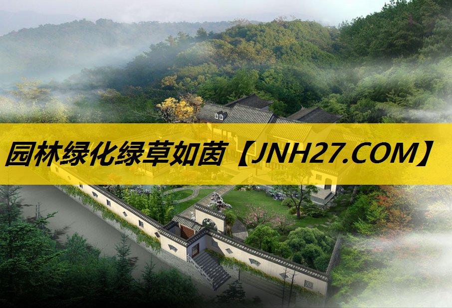 园林绿化绿草如茵